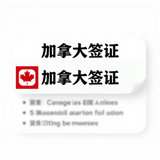 加拿大签证定制方案怎么做